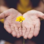 Sinergi Pusat dan Daerah: PDI Perjuangan Sumsel Kawal Proyek Strategis Nasional untuk Kesejahteraan Wong Cilik